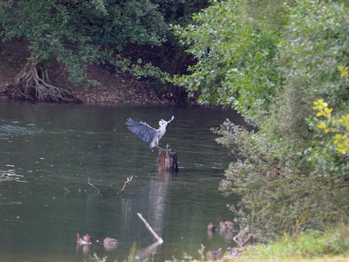 La Ravine Au Bord Du Loing Montigny-sur-Loing Exterior foto