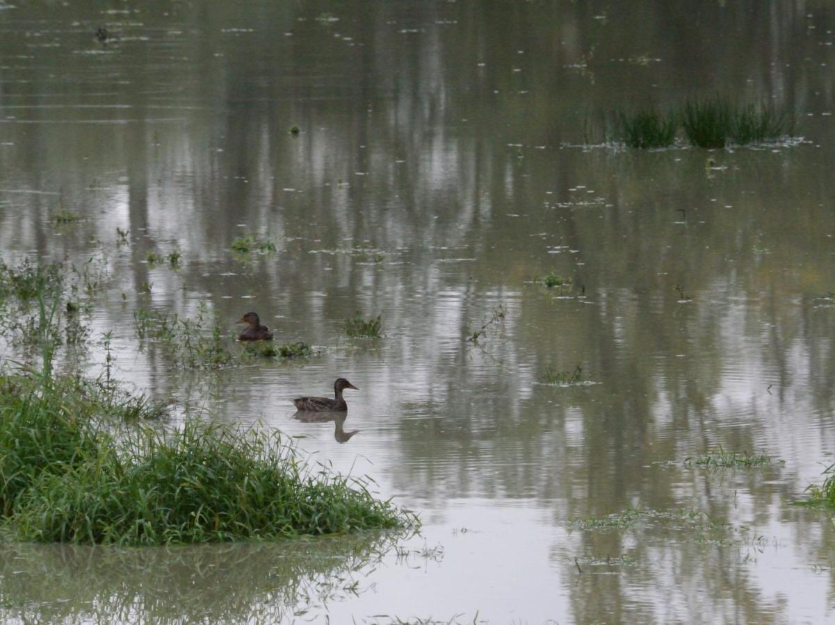 La Ravine Au Bord Du Loing Montigny-sur-Loing Exterior foto